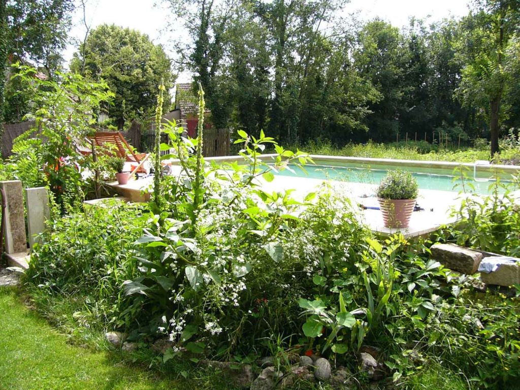 Piscine de la Chapelle du Domaine, chambres d'hôtes près de Beaune en Bourgogne